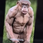 Aaron Bentley - Facebook