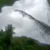 big farid - @aaron.berlin2 - TikTok