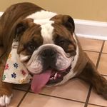 Aaron Bonilla - @aaron__bonilla - Instagram