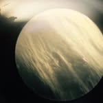 Aron Brady - @aron_brady1234 - Instagram