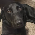 Aaron Brittain - @brittain.aaron - Instagram