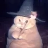 Aaron Calderon - @aaron.calderon - TikTok