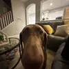 aaron cardenas - @.aaroncardenas - TikTok