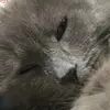 Aaroncarl_ - @aaroncarl52 - TikTok
