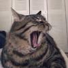 Aaron Carson - @aaron.carson2020 - TikTok