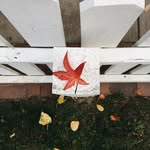 Aron Carver - @ramawattems - Instagram