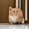 aaronchan - @aarontk01 - TikTok