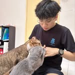Aron Chan - @aron_chan331 - Instagram