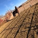 Aron Chavez - @aronchavez753 - Instagram