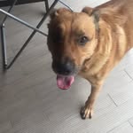 @aron.dale_017 - Instagram