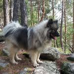 Арон Темный Лорд - @aron.dark.lord - Instagram