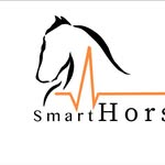 Aron Dobos - @smarthorsemassage - Instagram