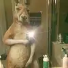 Aron García - @aron.garca52 - TikTok