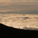 Aron Greene - @arongreene_ - Instagram