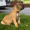 Aaron Lopez - @aaron.lopez3794 - TikTok
