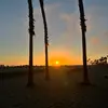 Aaron Navarro - @aaron.navarro_ - TikTok