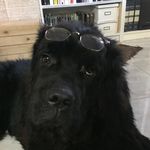 @aron_owen_margot - Instagram
