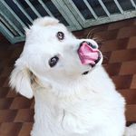 Aron/Owen - @aron__owen - Instagram