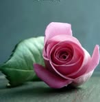 Aron Shah - Facebook