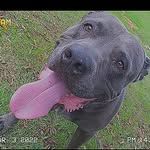 Aron.Sierra_ - @aron.sierra_ - Instagram