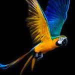 Arpan Mehta - @arpan.mehta.73157 - Instagram