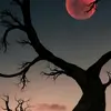 Aaron Bright - @aedan5363 - TikTok