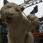 Arron Howe - @arronhowe - Instagram