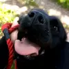 arronhornsby - @arronhornsby - TikTok