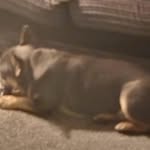 Arron Johnson - @arron.johnson.710 - Instagram