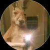 Arsenio Peña - @arsenio.pea1 - TikTok