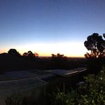 Arshad Haque - @arshad.haque.101 - Instagram