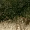 Arshad Haque - @arshad.haque4 - TikTok