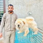 Arshdeep Singh - @arsh_dog_kennal - Instagram