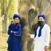 arshrajput - @arshdeepsinghrajp0 - TikTok