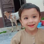 Arslan Javid - @arslan.javid.104 - Instagram