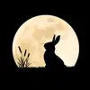 Arslan Malik - @arslanmalik542 - TikTok