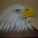 Art Barrett - @artbarrett7348 - Instagram