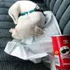 Artie Boudreau - @artie.boudreau - TikTok