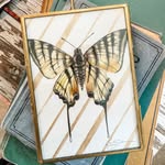 Cady Driver Watercolor Art - @cady.driver_artist - Instagram