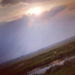 Cameron tierney - @artcameron2020 - Instagram