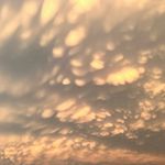 @sarah_j_carpenter_art - Instagram