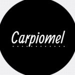 Melanny Carpio Art_Blog - @carpiomelart - Instagram