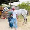 Arturo Casas - @arturocasas15 - TikTok