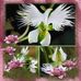 Art Casey - Facebook