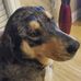 Arthur Casey - Facebook