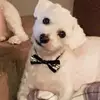 Art Castle - @art.castle - TikTok