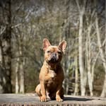 Art Chacon - @fitchmanblue - Instagram