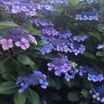 Art Chapman - @artchapman4 - Instagram