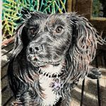 Tracy Clements Art - @tracy.clements12art - Instagram