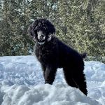 Art Coles - @colesa64 - Instagram